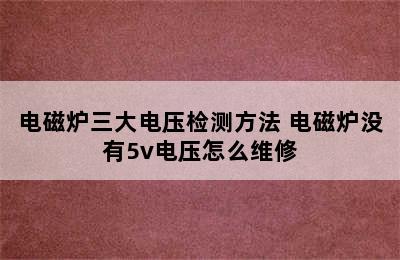 电磁炉三大电压检测方法 电磁炉没有5v电压怎么维修